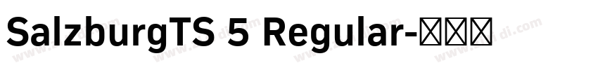 SalzburgTS 5 Regular字体转换